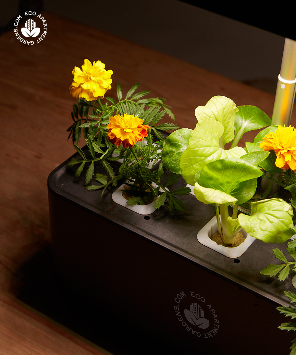 Eco-Apartment-Gardens_Self-watering_Bench-top_20