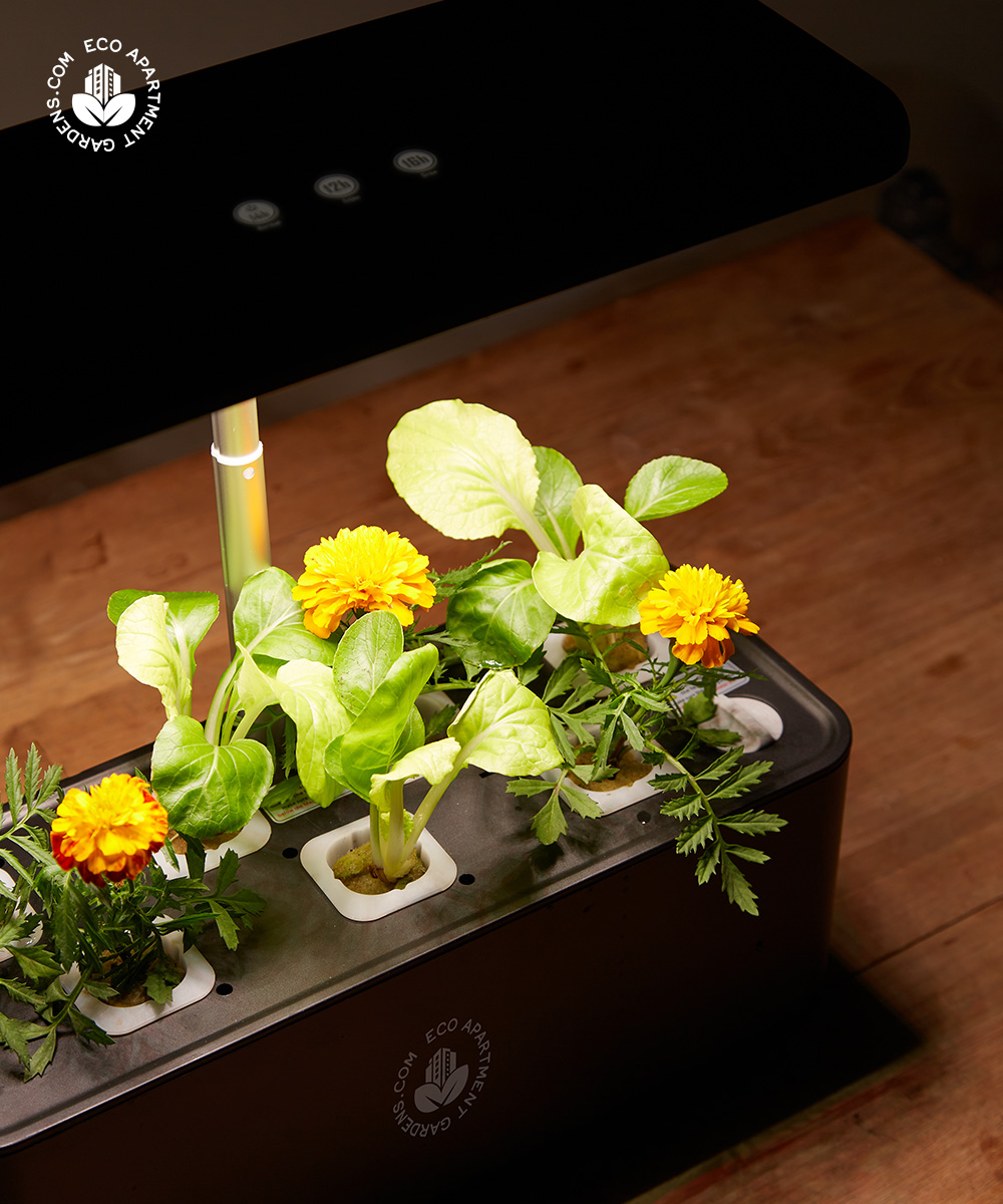 Eco-Apartment-Gardens_Self-watering_Bench-top_21