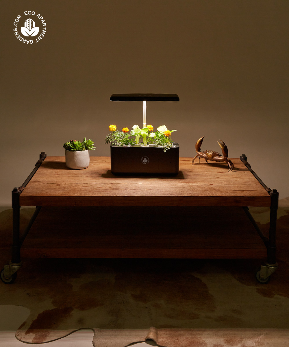 Eco-Apartment-Gardens_Self-watering_Bench-top_26