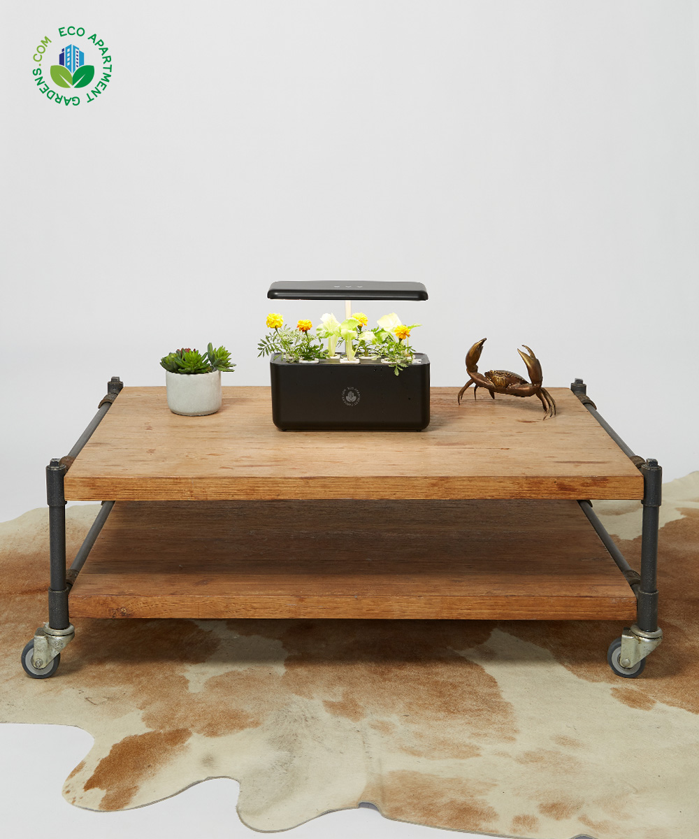 Eco-Apartment-Gardens_Self-watering_Bench-top_15