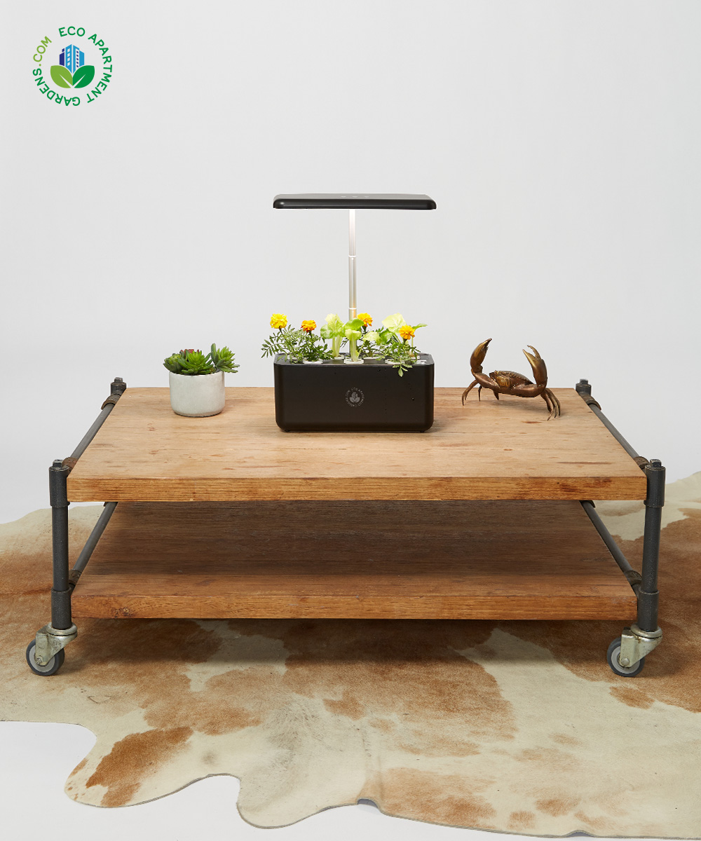Eco-Apartment-Gardens_Self-watering_Bench-top_17
