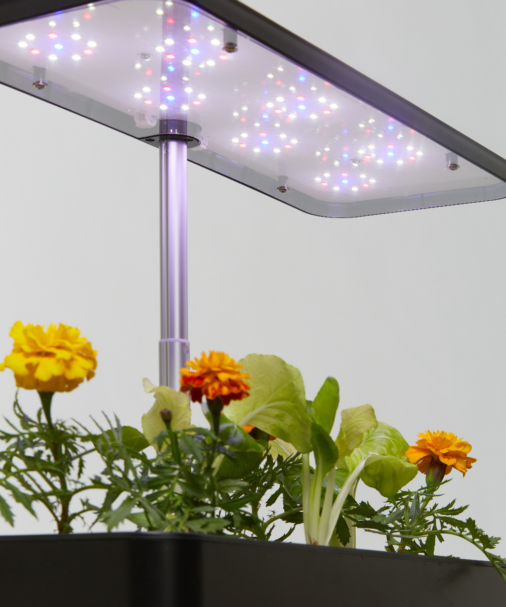 Eco-Apartment-Gardens_Self-watering_Bench-top_27-Cover_V02