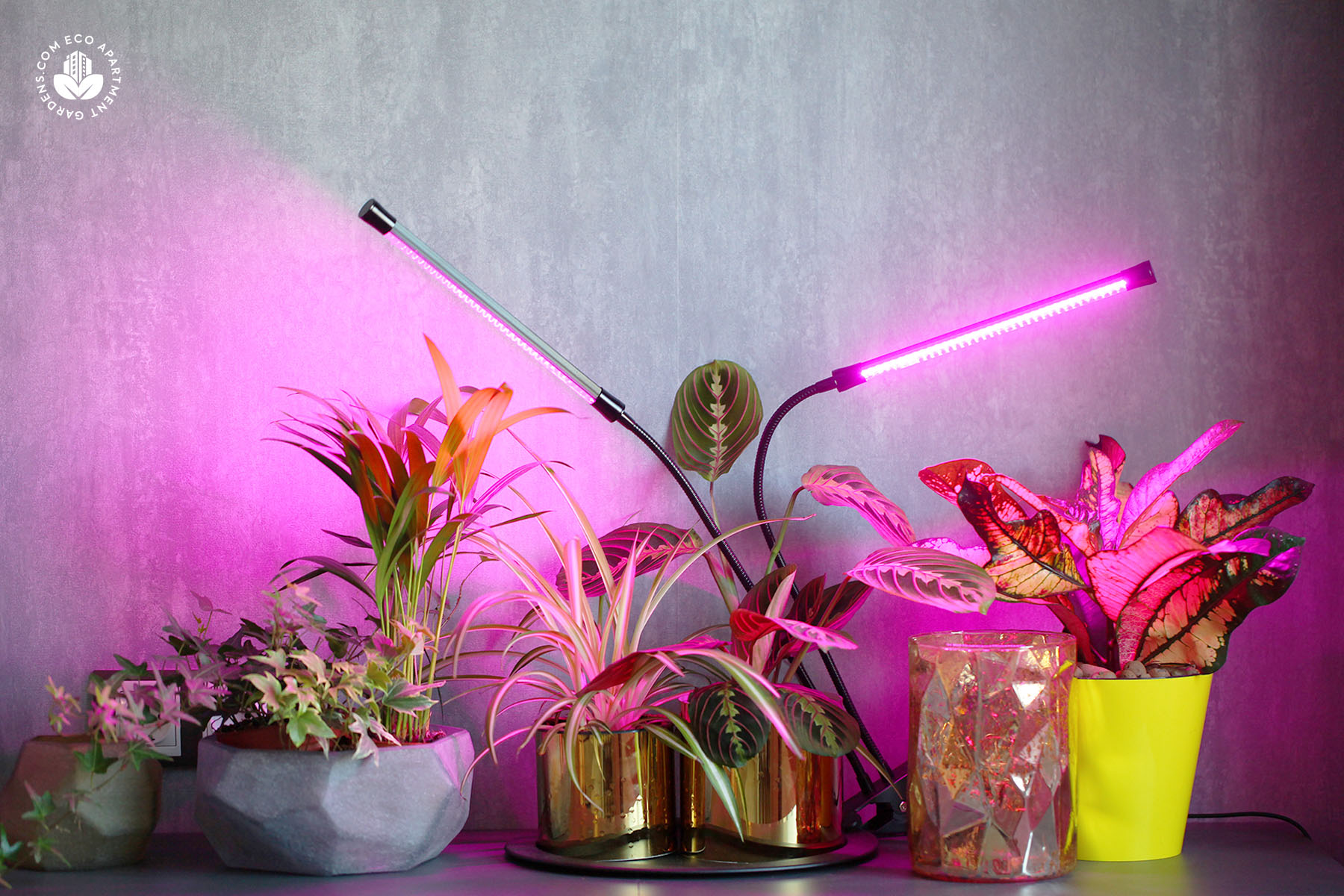 Vente en gros Ultraviolet Light For Plants à bas prix