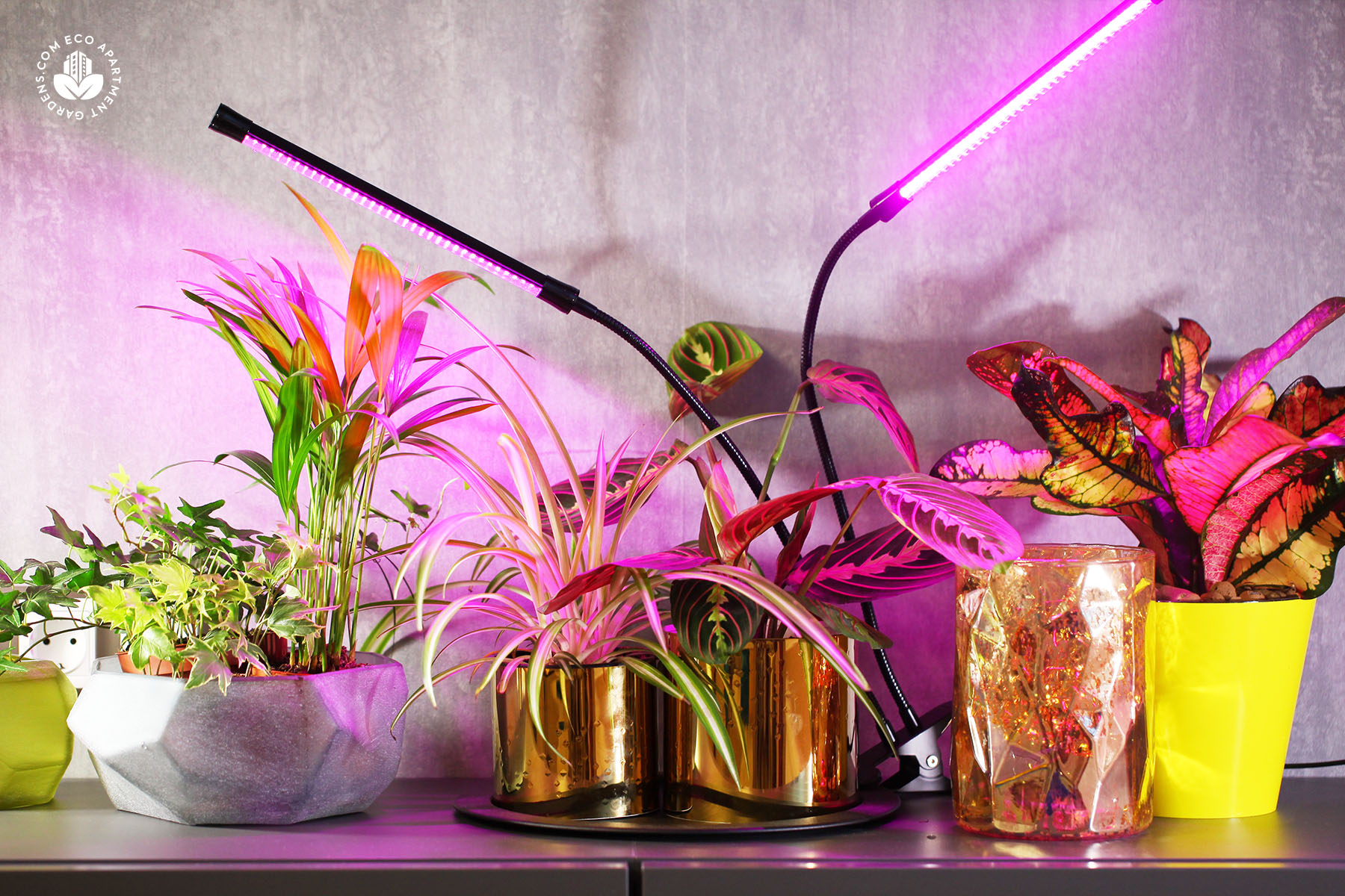 13 of the Best Grow Lights for Indoor Gardens